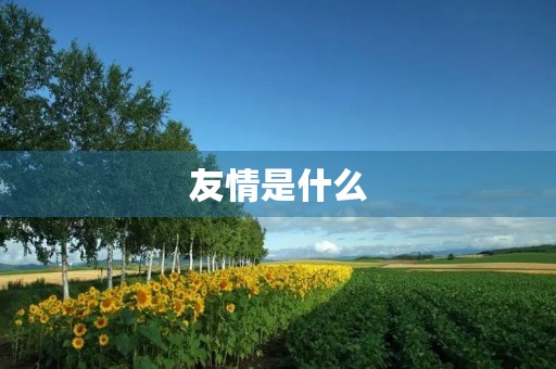 友情是什么 友情是什么