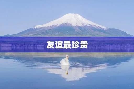 友谊最珍贵 友谊最珍贵