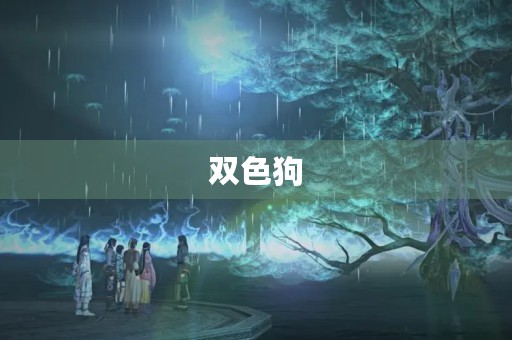 双色狗