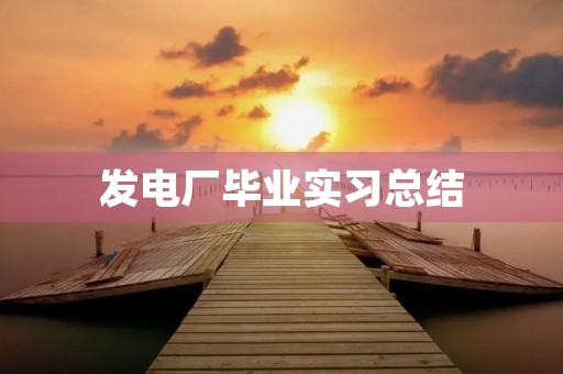 发电厂毕业实习总结