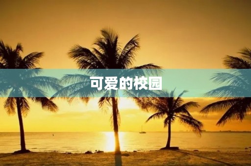 可爱的校园