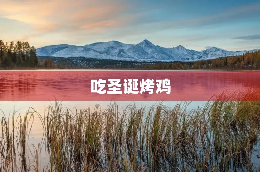 吃圣诞烤鸡