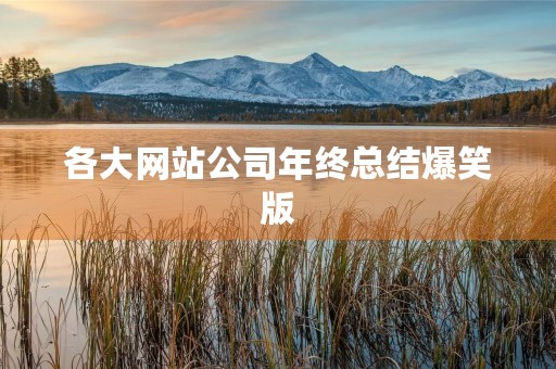 各大网站公司年终总结爆笑版