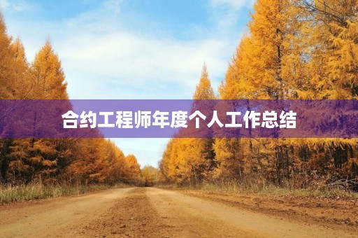 合约工程师年度个人工作总结