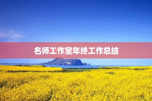 名师工作室年终工作总结