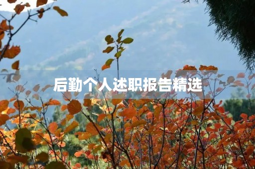 后勤个人述职报告精选(内容)