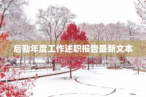后勤年度工作述职报告最新文本