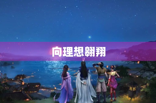 向理想翱翔