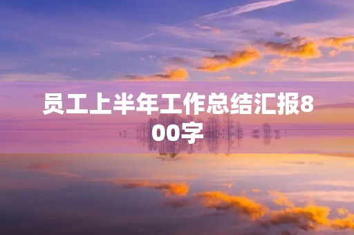 员工上半年工作总结汇报800字