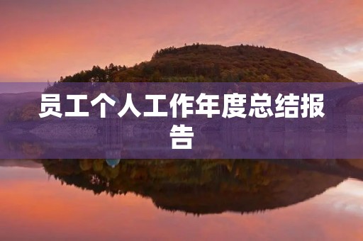员工个人工作年度总结报告