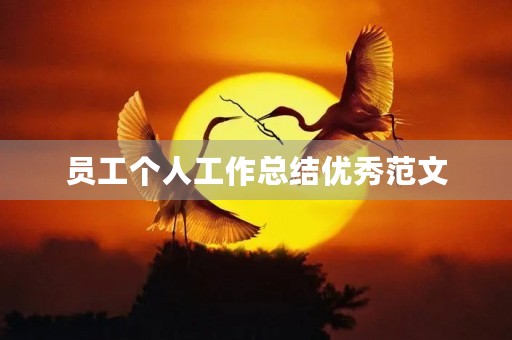 员工个人工作总结优秀范文