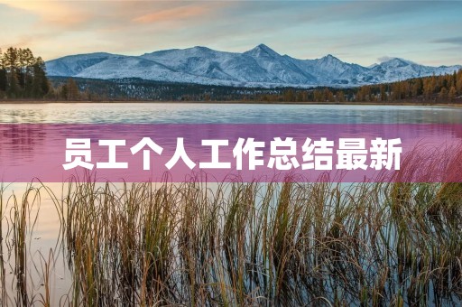 员工个人工作总结最新