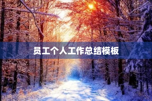 员工个人工作总结模板