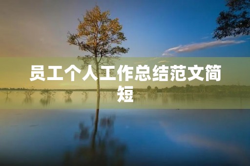 员工个人工作总结范文简短