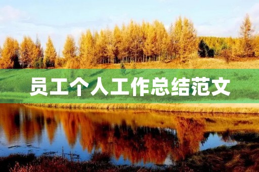 员工个人工作总结范文