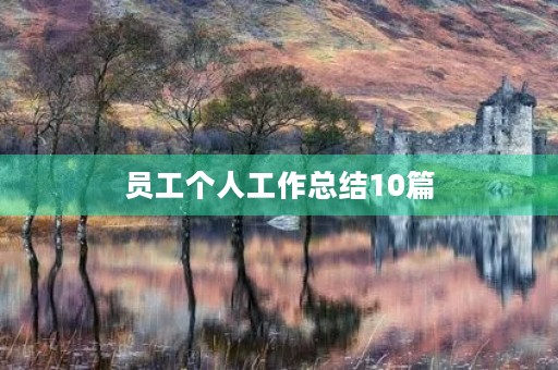 员工个人工作总结10篇
