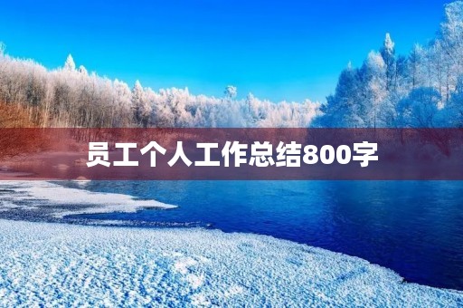 员工个人工作总结800字(10篇)