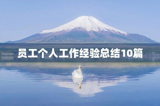 员工个人工作经验总结10篇