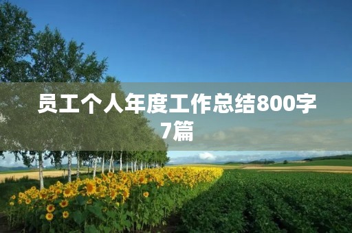 员工个人年度工作总结800字7篇