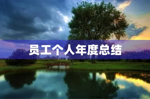 员工个人年度总结