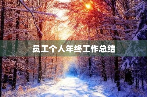员工个人年终工作总结 员工个人年终工作总结