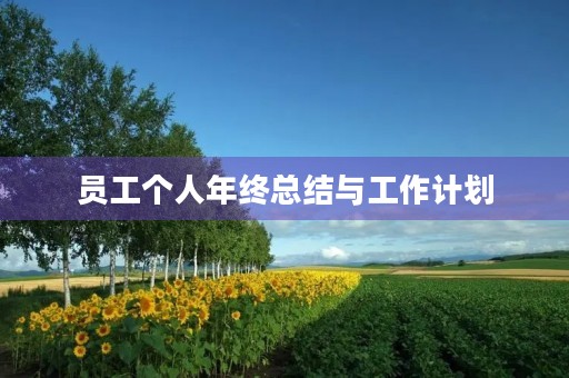 员工个人年终总结与工作计划