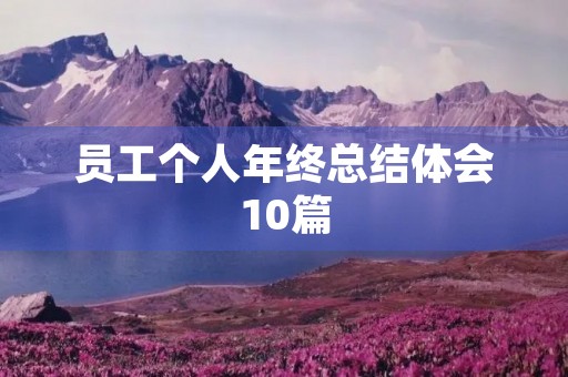 员工个人年终总结体会10篇 员工个人年终总结体会10篇