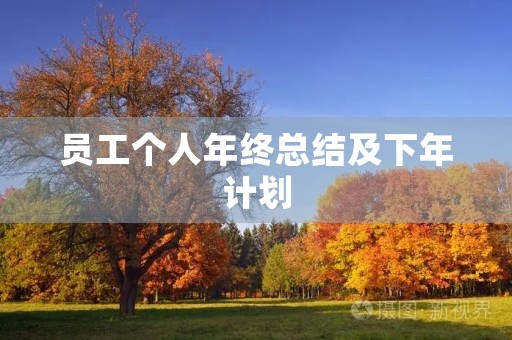 员工个人年终总结及下年计划