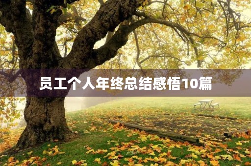 员工个人年终总结感悟10篇