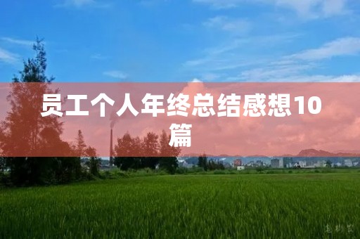 员工个人年终总结感想10篇 员工个人年终总结感想10篇