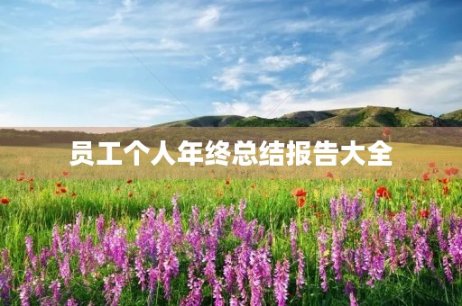 员工个人年终总结报告大全 员工个人年终总结报告大全