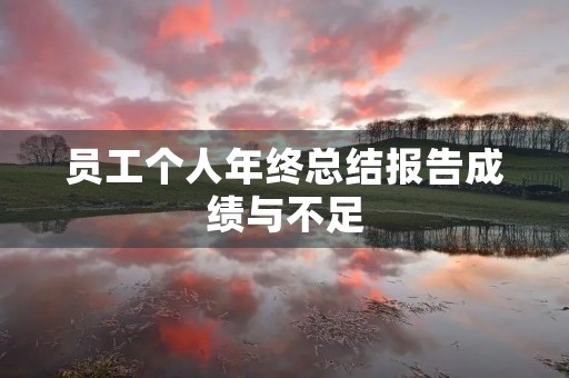 员工个人年终总结报告成绩与不足
