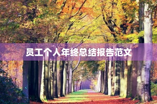 员工个人年终总结报告范文