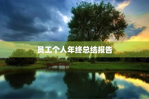 员工个人年终总结报告 员工个人年终总结报告