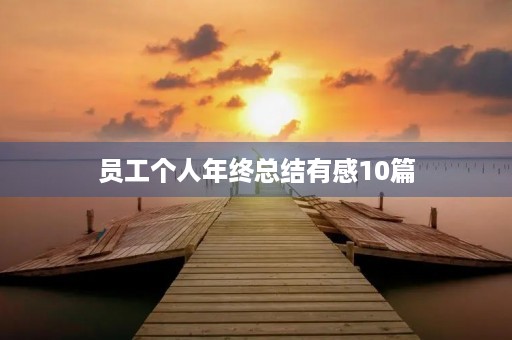员工个人年终总结有感10篇
