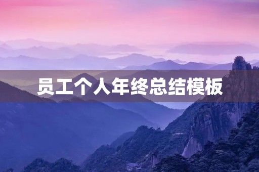 员工个人年终总结模板
