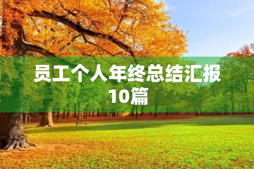 员工个人年终总结汇报10篇 员工个人年终总结汇报10篇