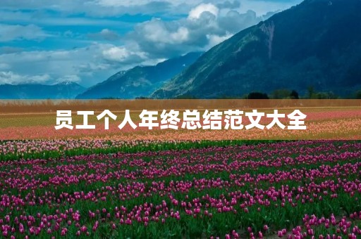 员工个人年终总结范文大全 员工个人年终总结范文大全