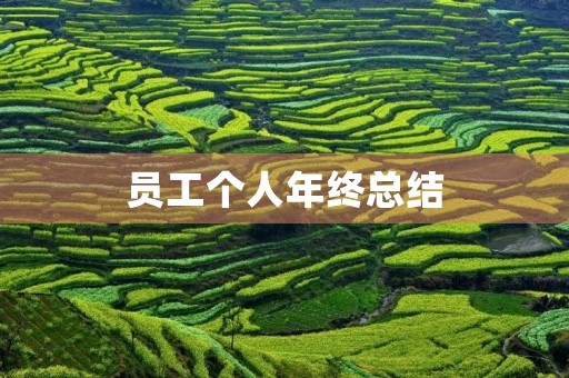 员工个人年终总结 员工个人年终总结
