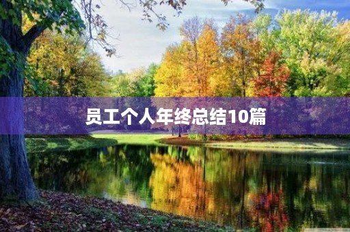 员工个人年终总结10篇