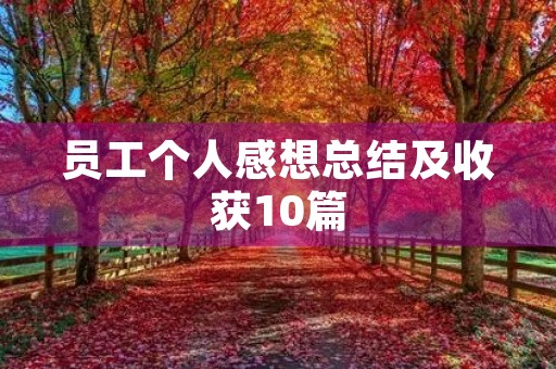 员工个人感想总结及收获10篇