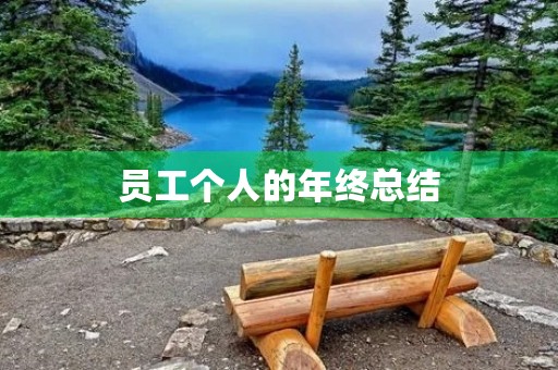 员工个人的年终总结