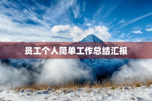 员工个人简单工作总结汇报