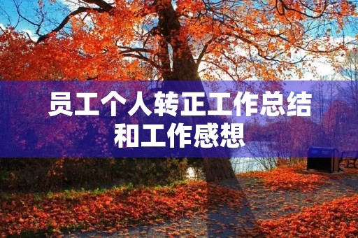 员工个人转正工作总结和工作感想【6篇】