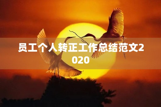 员工个人转正工作总结范文2020