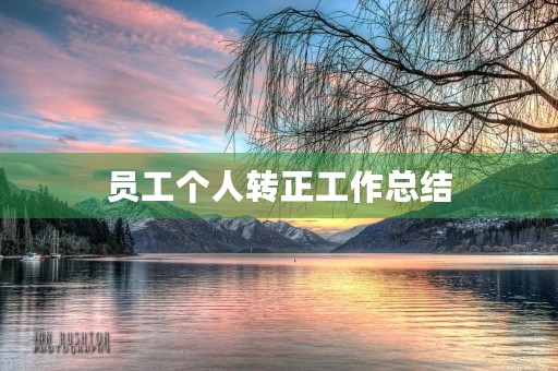 员工个人转正工作总结