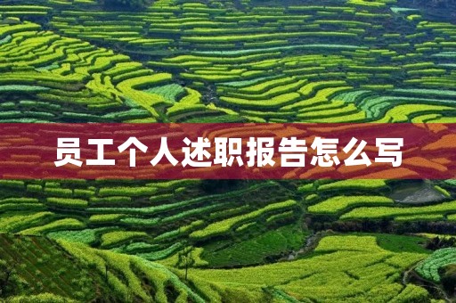 员工个人述职报告怎么写