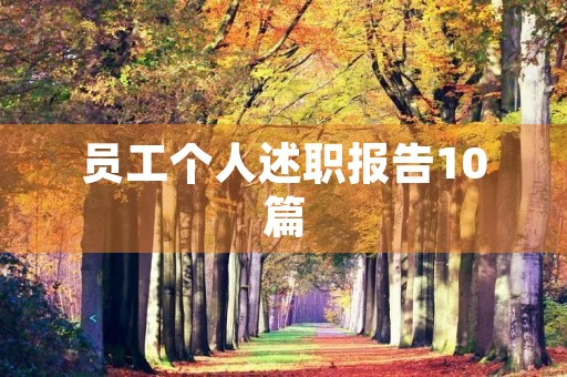 员工个人述职报告10篇