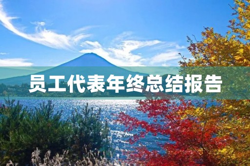 员工代表年终总结报告