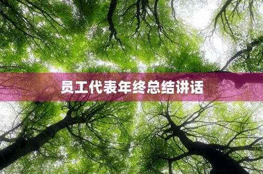 员工代表年终总结讲话 员工代表年终总结讲话